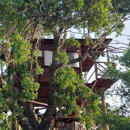 Hotel Leopard Nest - Glamping In Yala Zewnętrze zdjęcie