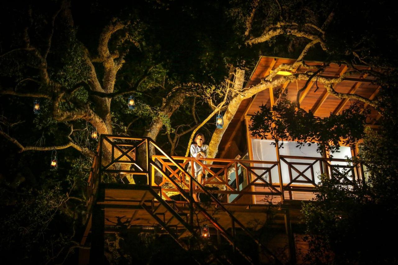 Hotel Leopard Nest - Glamping In Yala Zewnętrze zdjęcie