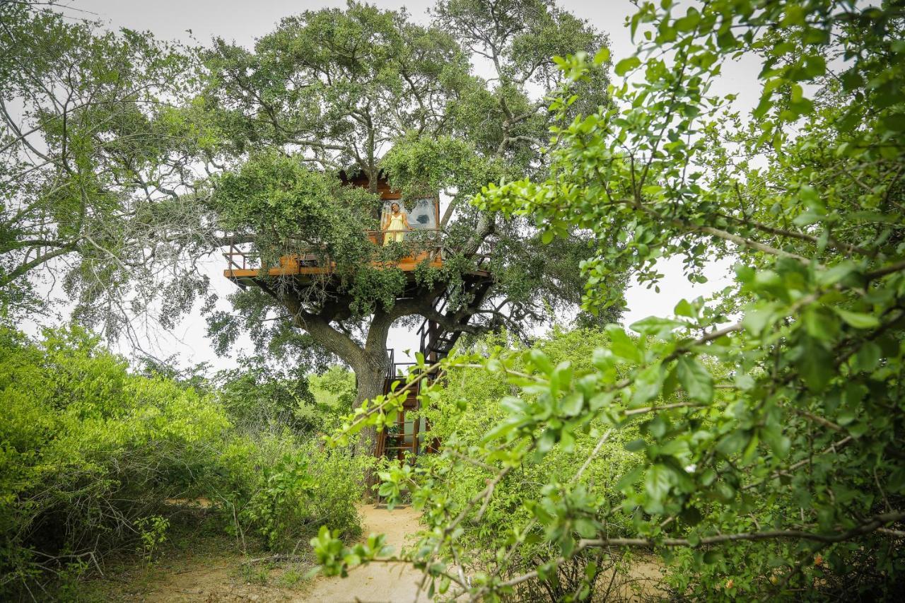 Hotel Leopard Nest - Glamping In Yala Zewnętrze zdjęcie