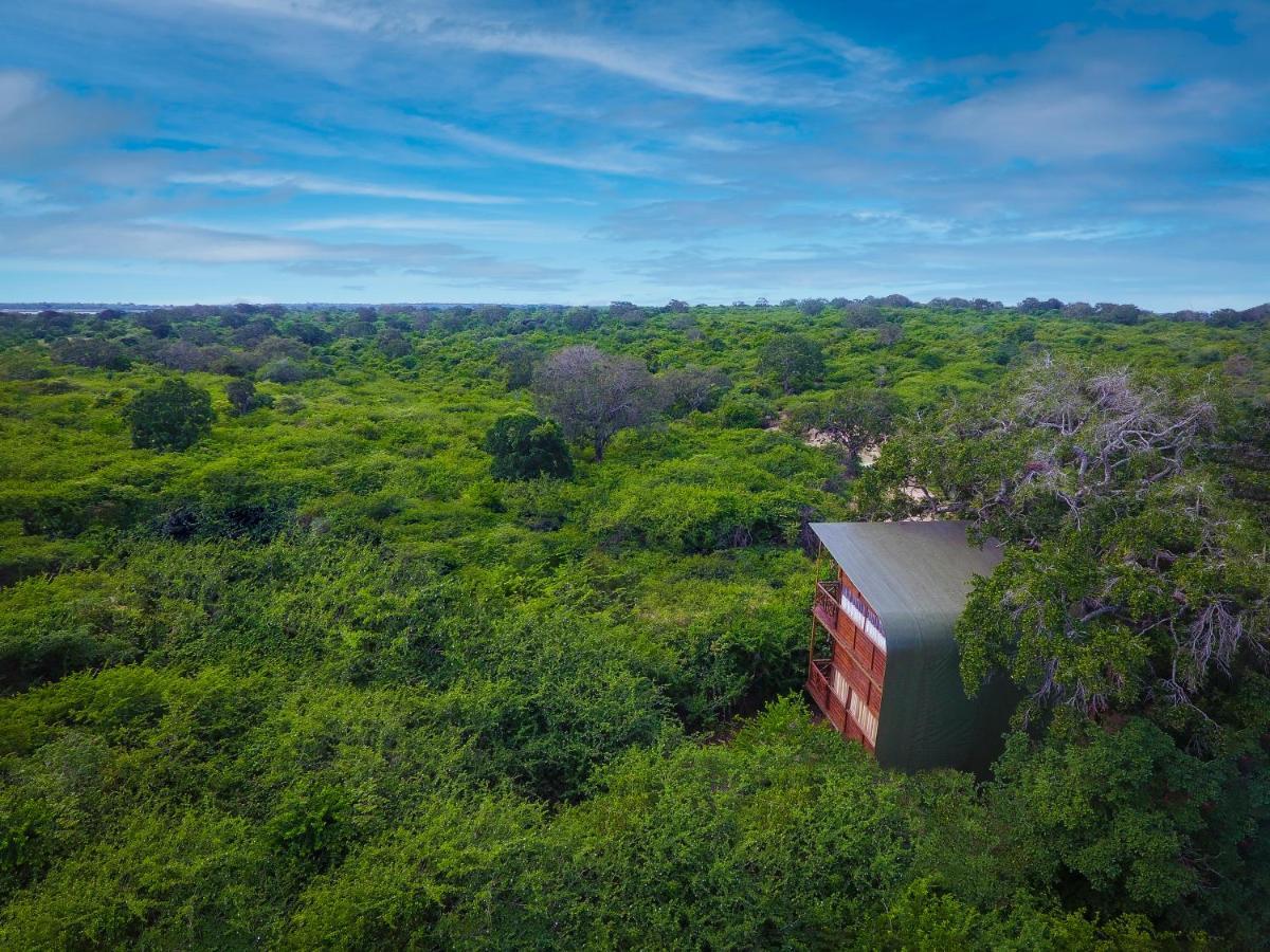 Hotel Leopard Nest - Glamping In Yala Zewnętrze zdjęcie