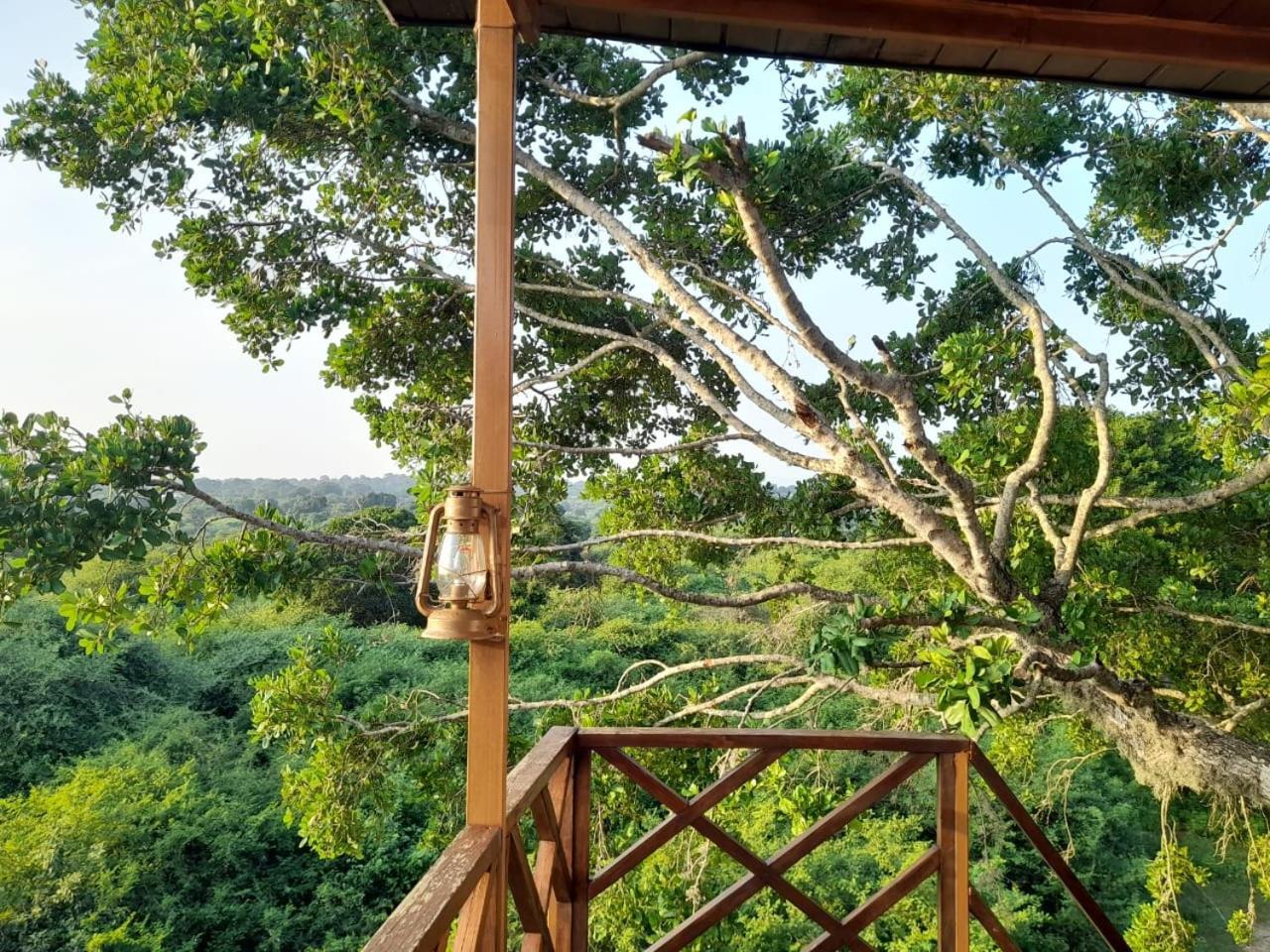 Hotel Leopard Nest - Glamping In Yala Zewnętrze zdjęcie
