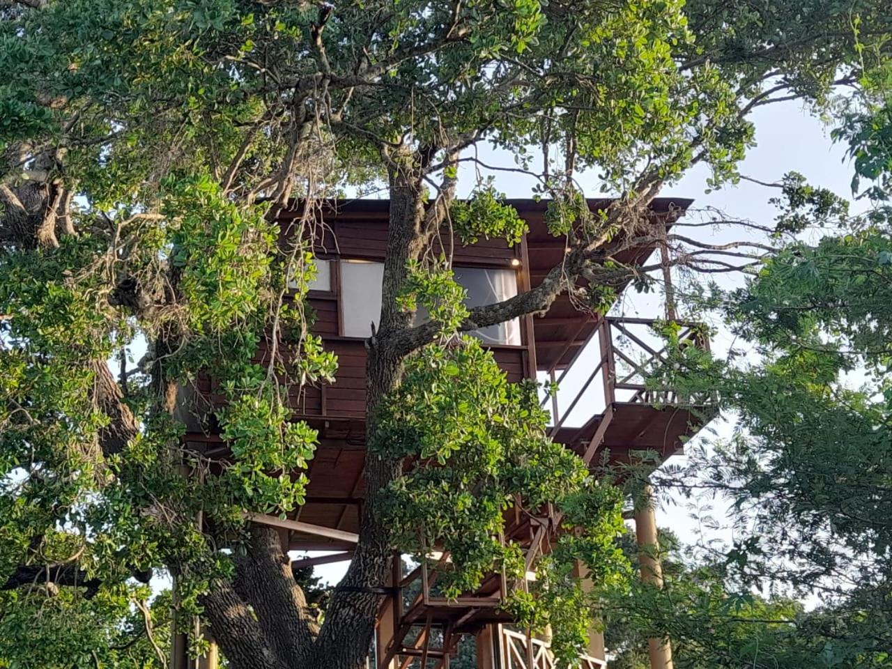 Hotel Leopard Nest - Glamping In Yala Zewnętrze zdjęcie