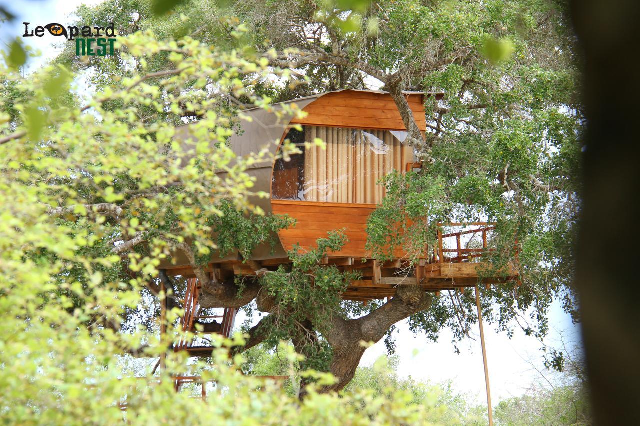 Hotel Leopard Nest - Glamping In Yala Zewnętrze zdjęcie