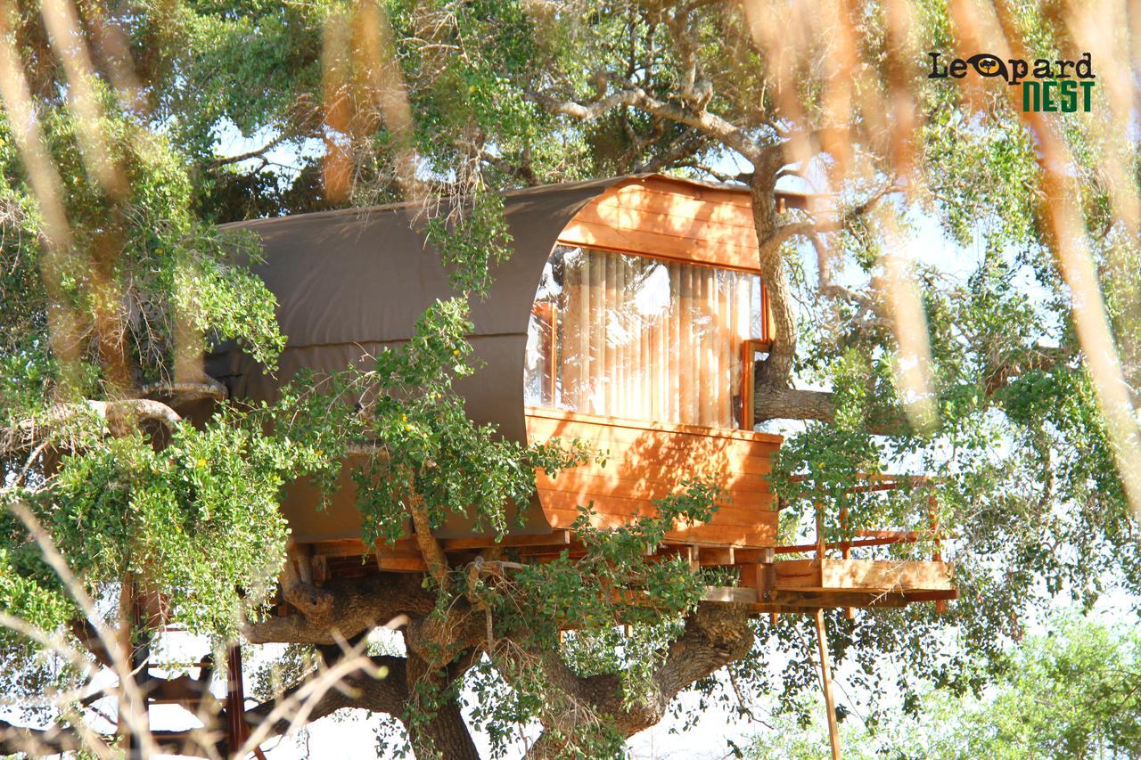 Hotel Leopard Nest - Glamping In Yala Zewnętrze zdjęcie