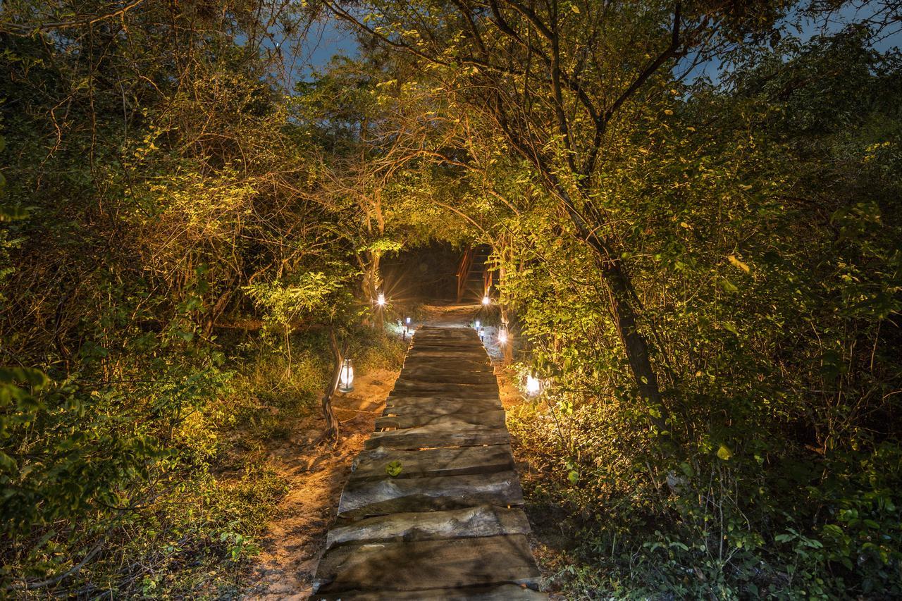 Hotel Leopard Nest - Glamping In Yala Zewnętrze zdjęcie