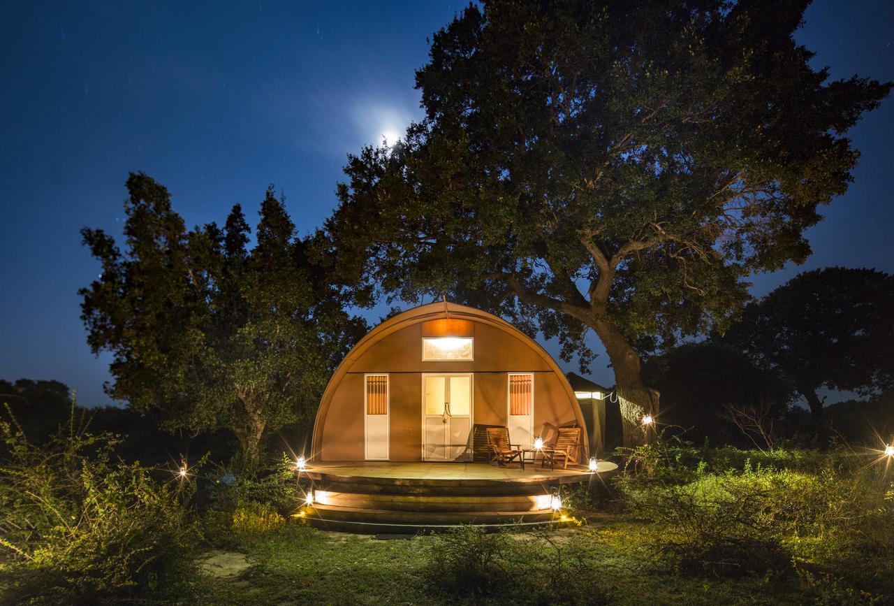 Hotel Leopard Nest - Glamping In Yala Zewnętrze zdjęcie