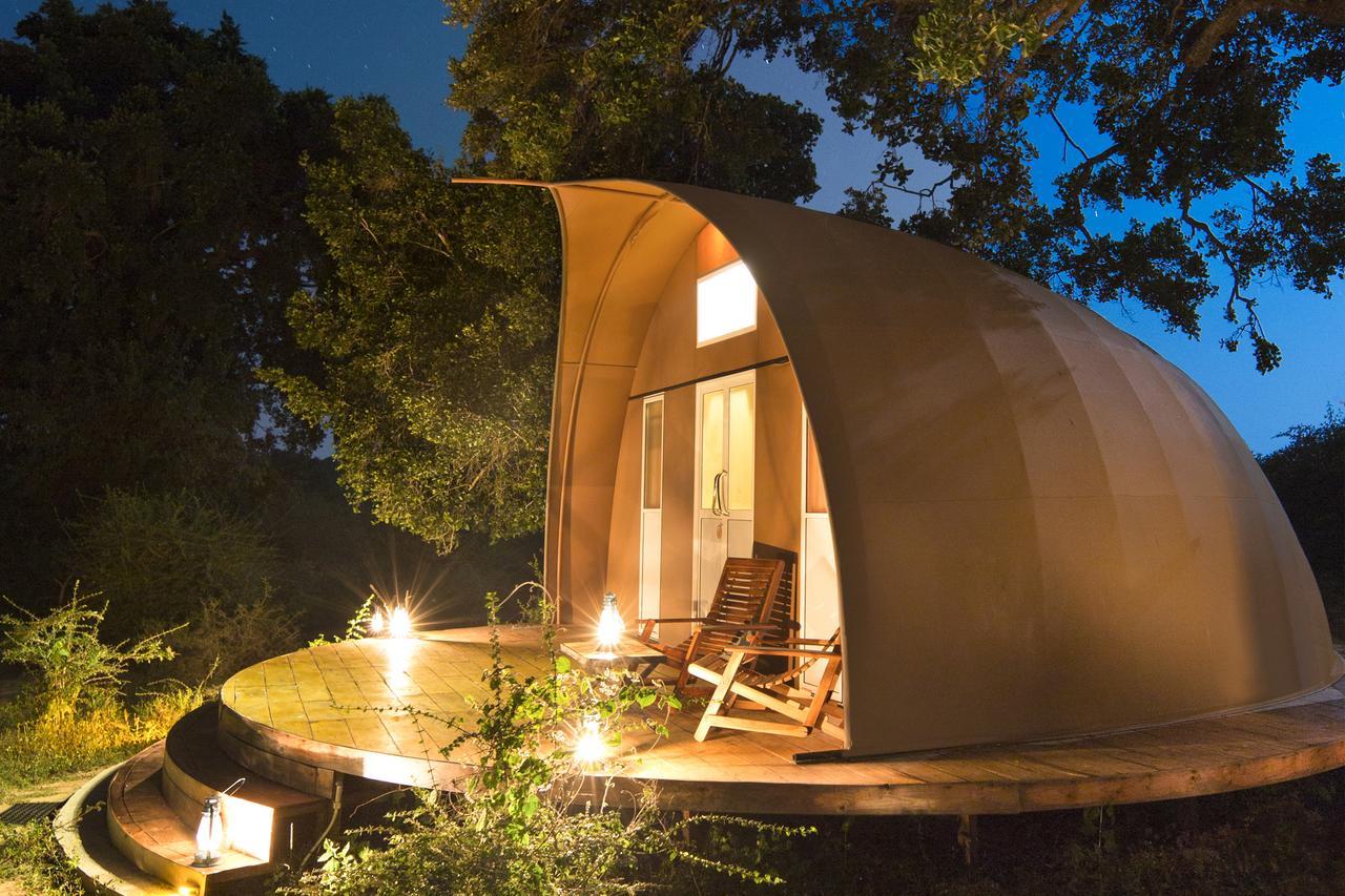 Hotel Leopard Nest - Glamping In Yala Zewnętrze zdjęcie